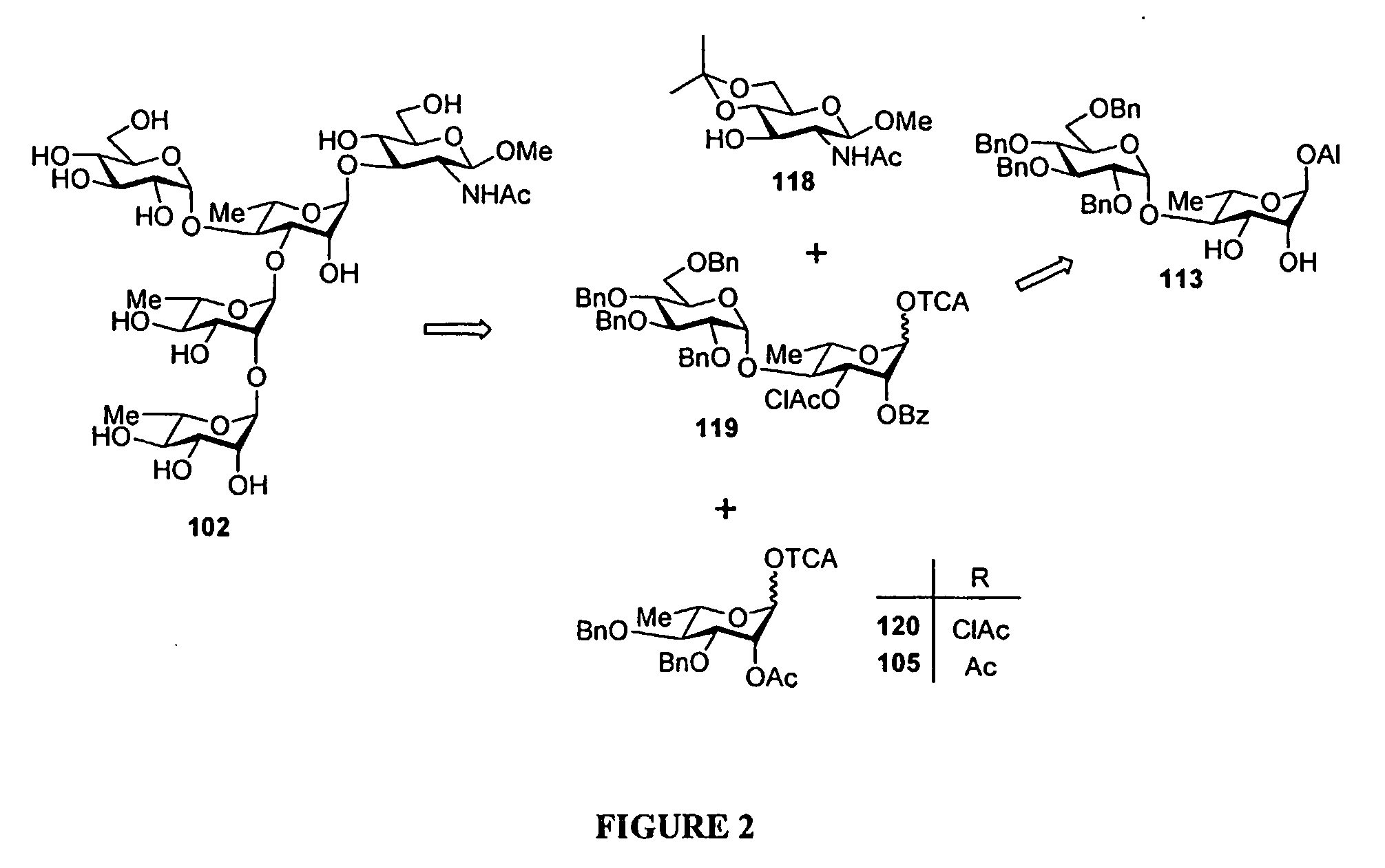 Glycoconjugates and Their Use as Potential Vaccines Against Infection by Shigella Flexneri