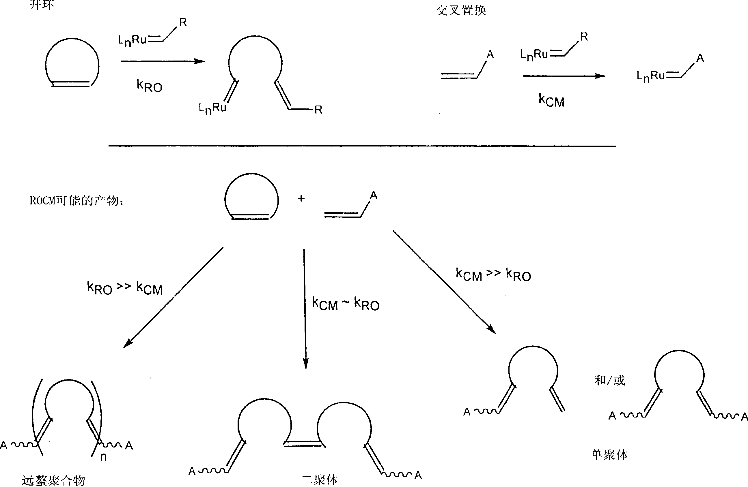 Selective ring-opening cross-metathesis of cycloulefins