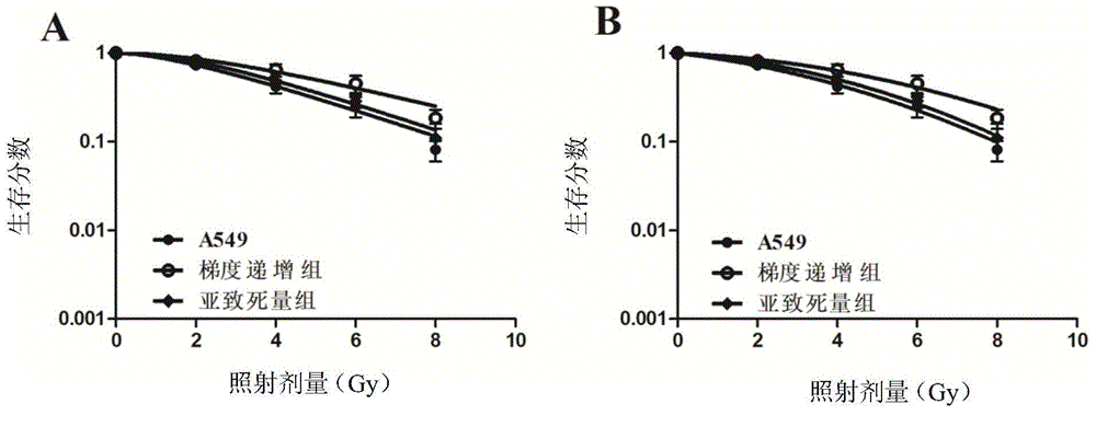 Construction method of lung cancer radiation resistance cell strain