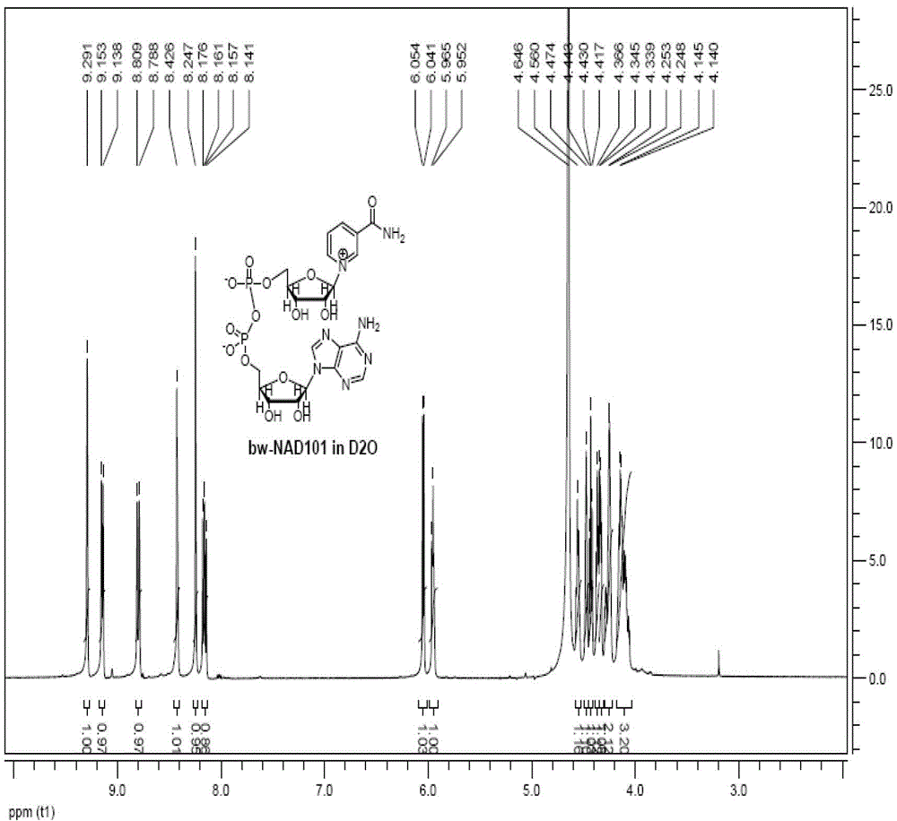 Preparation method of nicotinamide adenine dinucleotide