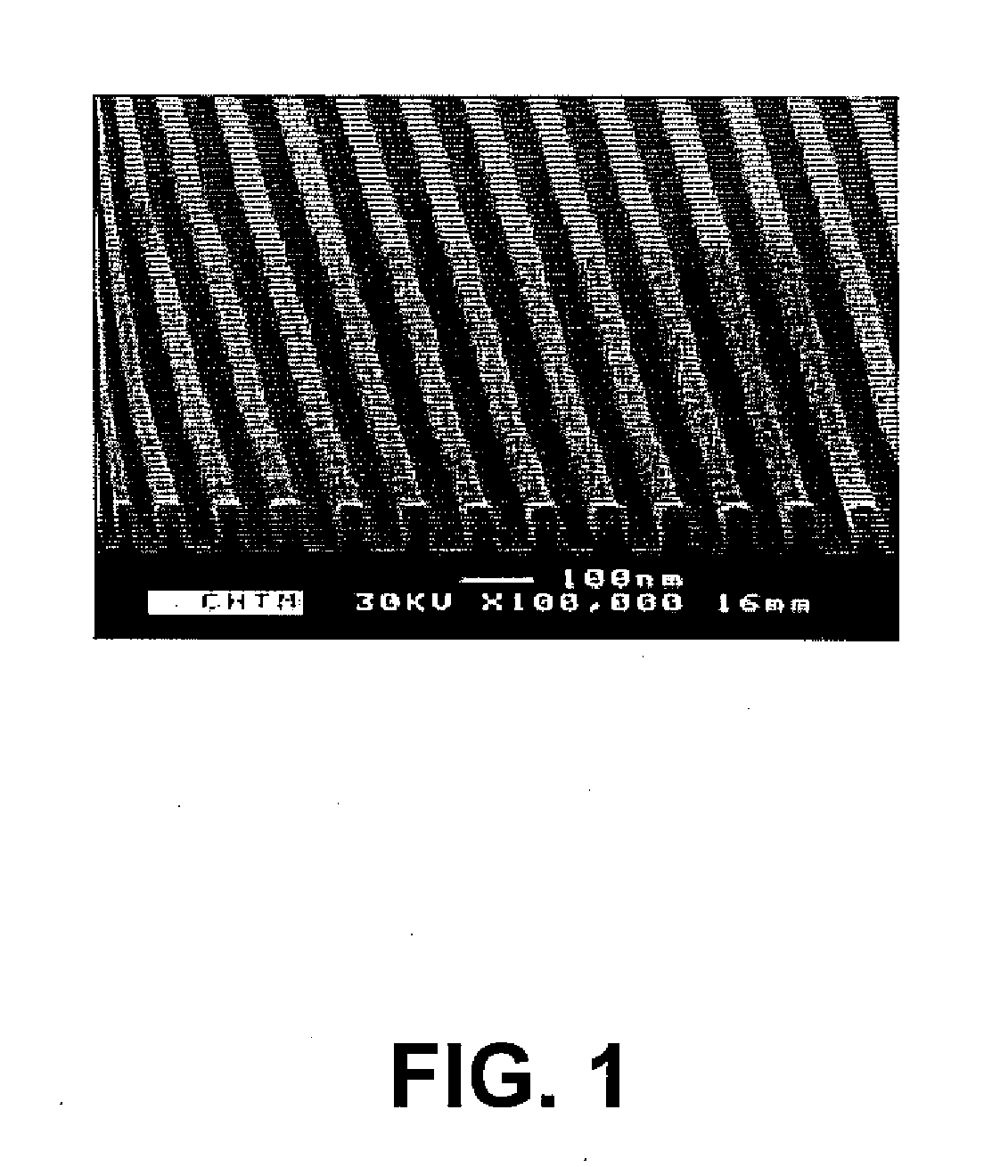 Large area patterning using interferometric lithography