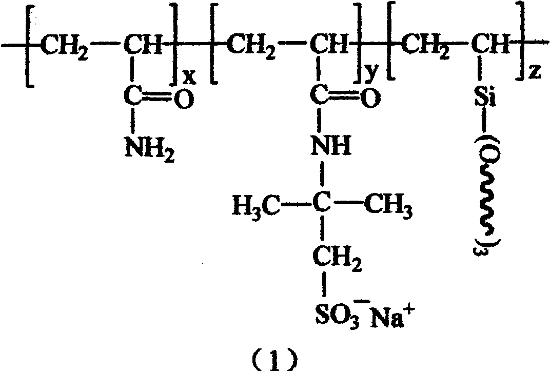 Long-branched chain polyacrylamide copolymer and preparation method thereof