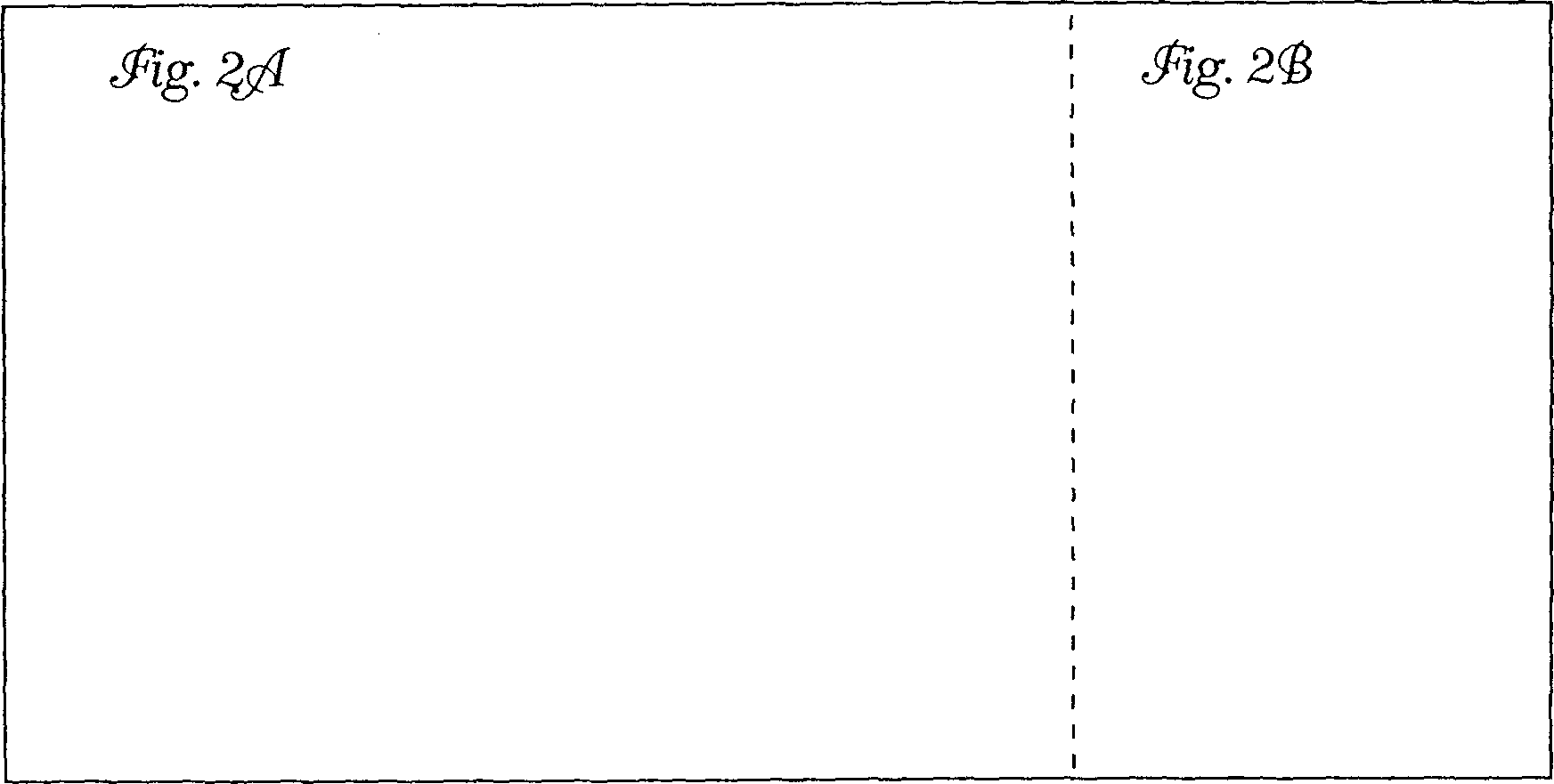 Remote airline check-in using a global computer network