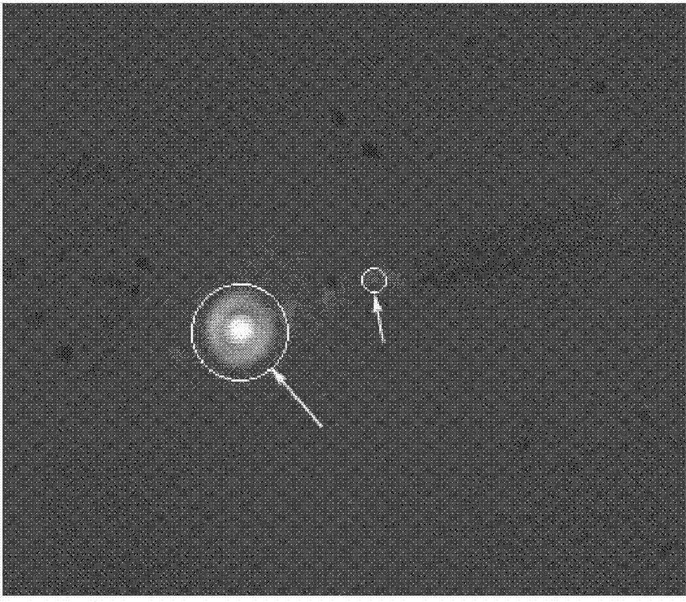 High-efficiency probe capable of breaking through diffraction limit and preparation method of high-efficiency probe