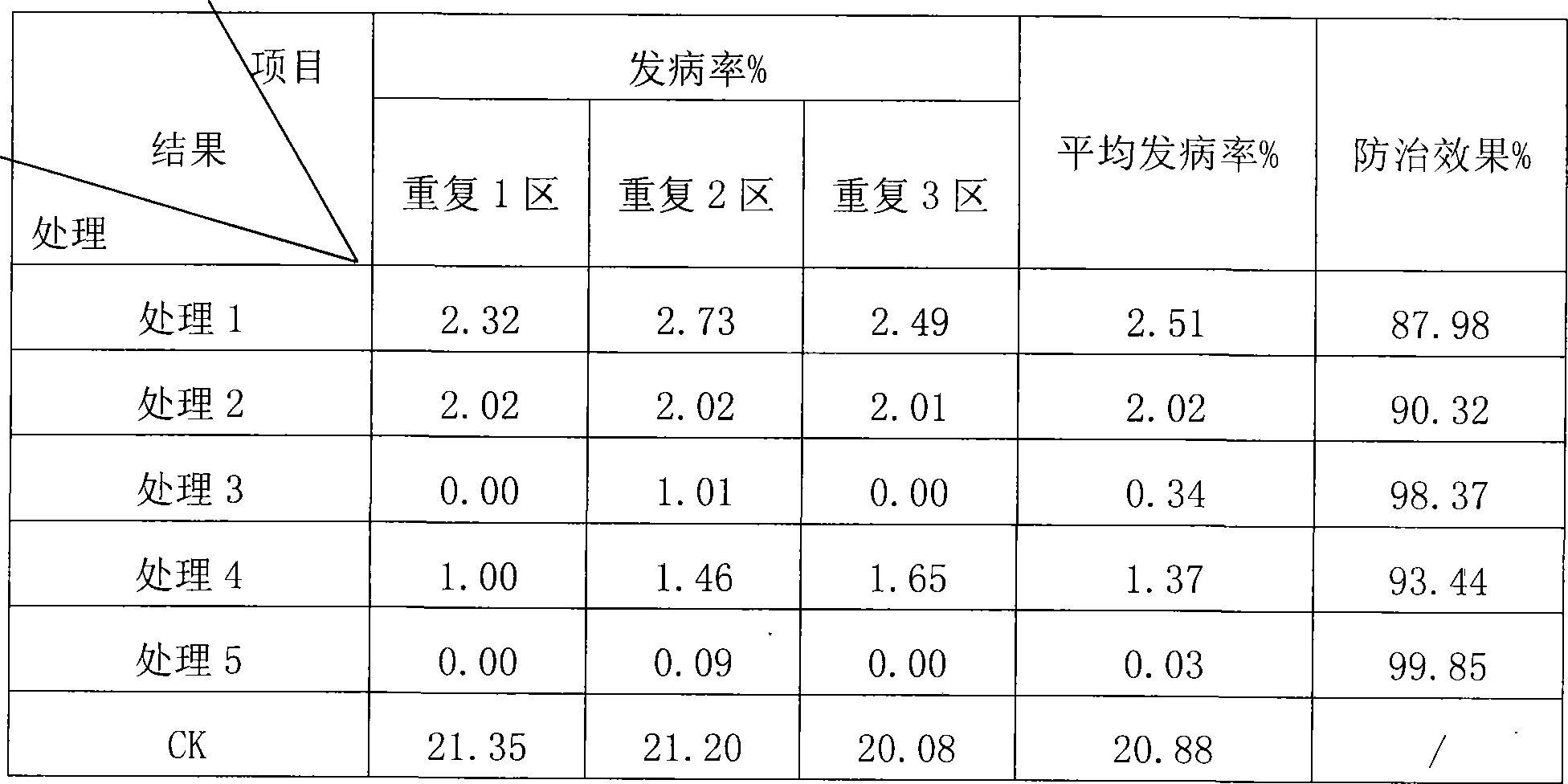 Infective built fungicide for damping-off and preparation process thereof