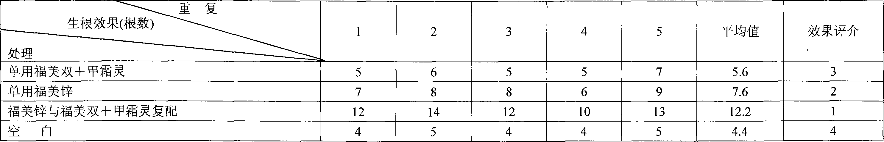 Infective built fungicide for damping-off and preparation process thereof