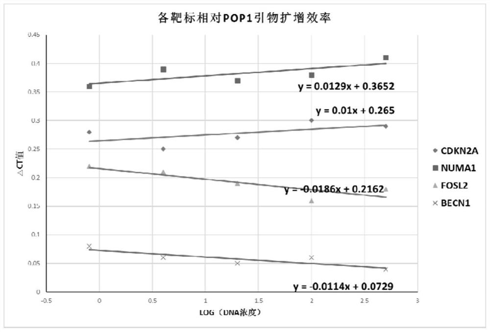 Specific primer and probe combination for qPCR (quantitative polymerase chain reaction) quantitative detection of copy number of target gene of urothelial carcinoma and application of specific primer and probe combination