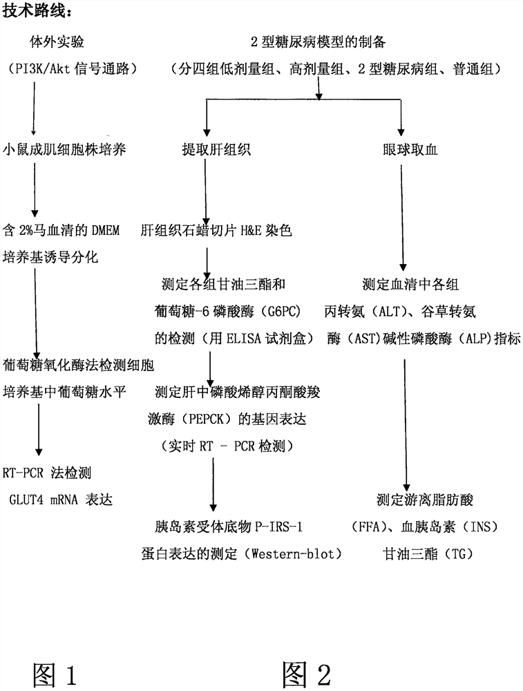 Method and system for treating obesity-related diseases by oral active AdipoRon