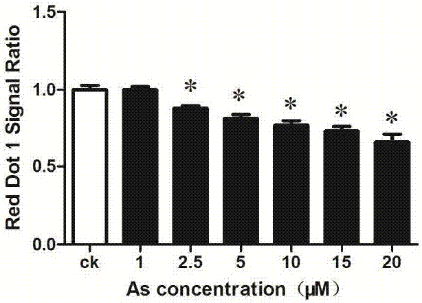 Method for detecting active oxygen content in cells