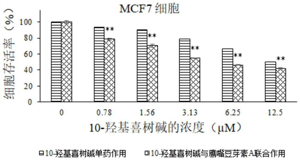 Pharmaceutical composition of 10-hydroxycamptothecin and biochanin A and application of pharmaceutical composition