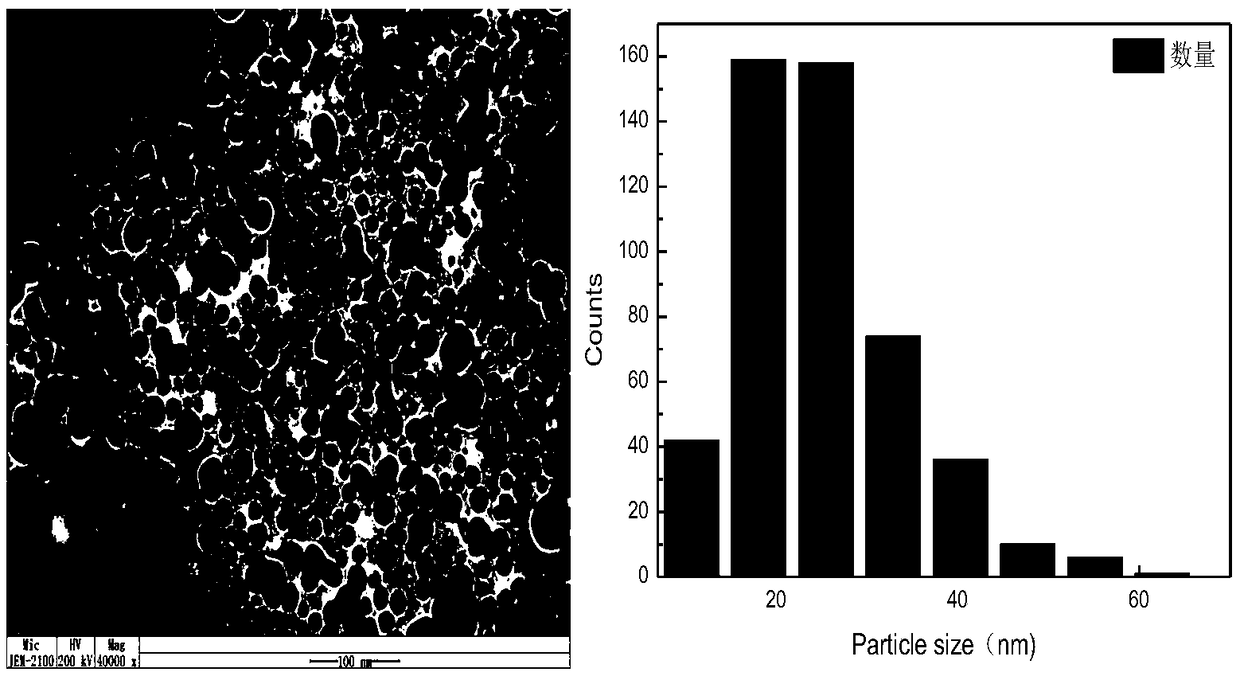 Preparation method and application of silver-loaded viscose fiber