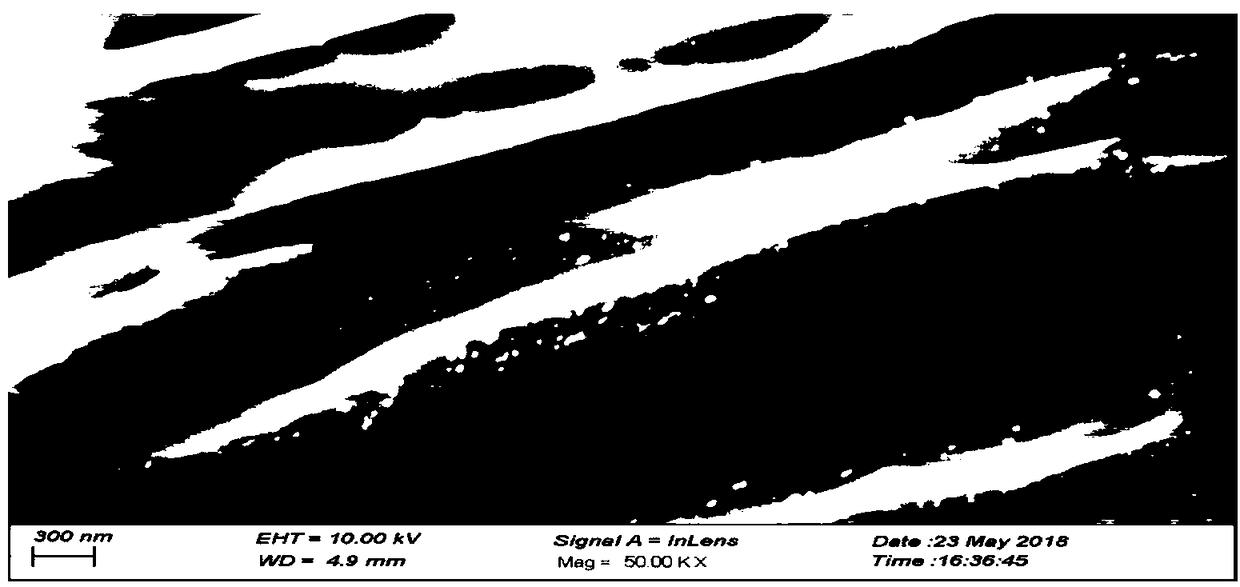 Preparation method and application of silver-loaded viscose fiber