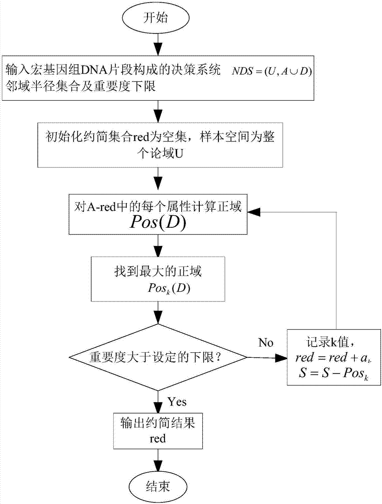 Metagenome fragment attribute reduction and classification method based on neighbourhood rough set