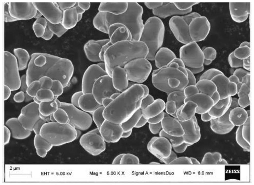 Nickel cobalt lithium manganese oxide positive electrode material and preparation method thereof