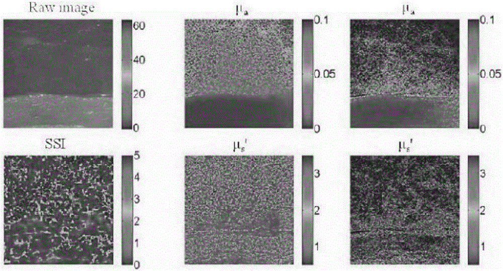 Rapid non-destructive tissue biopsy method and technique based on spatial frequency domain-modulated large area resolution microstructure