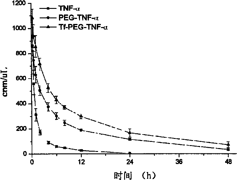 Transferrin-polyethylene glycol medicine molecular compound, and used of medicine prepared by the same