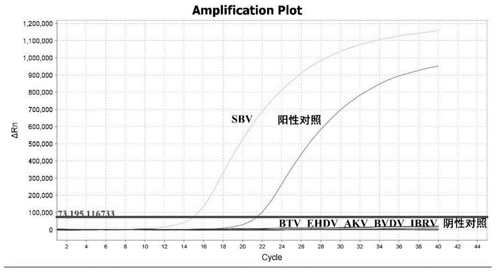 Fluorescence RT-PCR primer, probe and kit for detecting Schmallenberg viruses