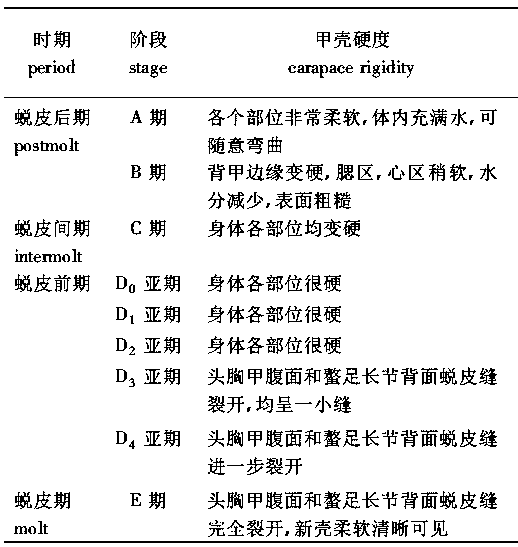 A soft-shell crab production pond with automatic soft-shell crab collection function