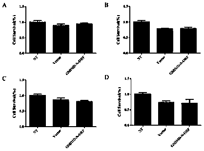 Recombinant plasmid of GSDMD-N (gasdmermin D-N) gene, expression method in mammary gland and application