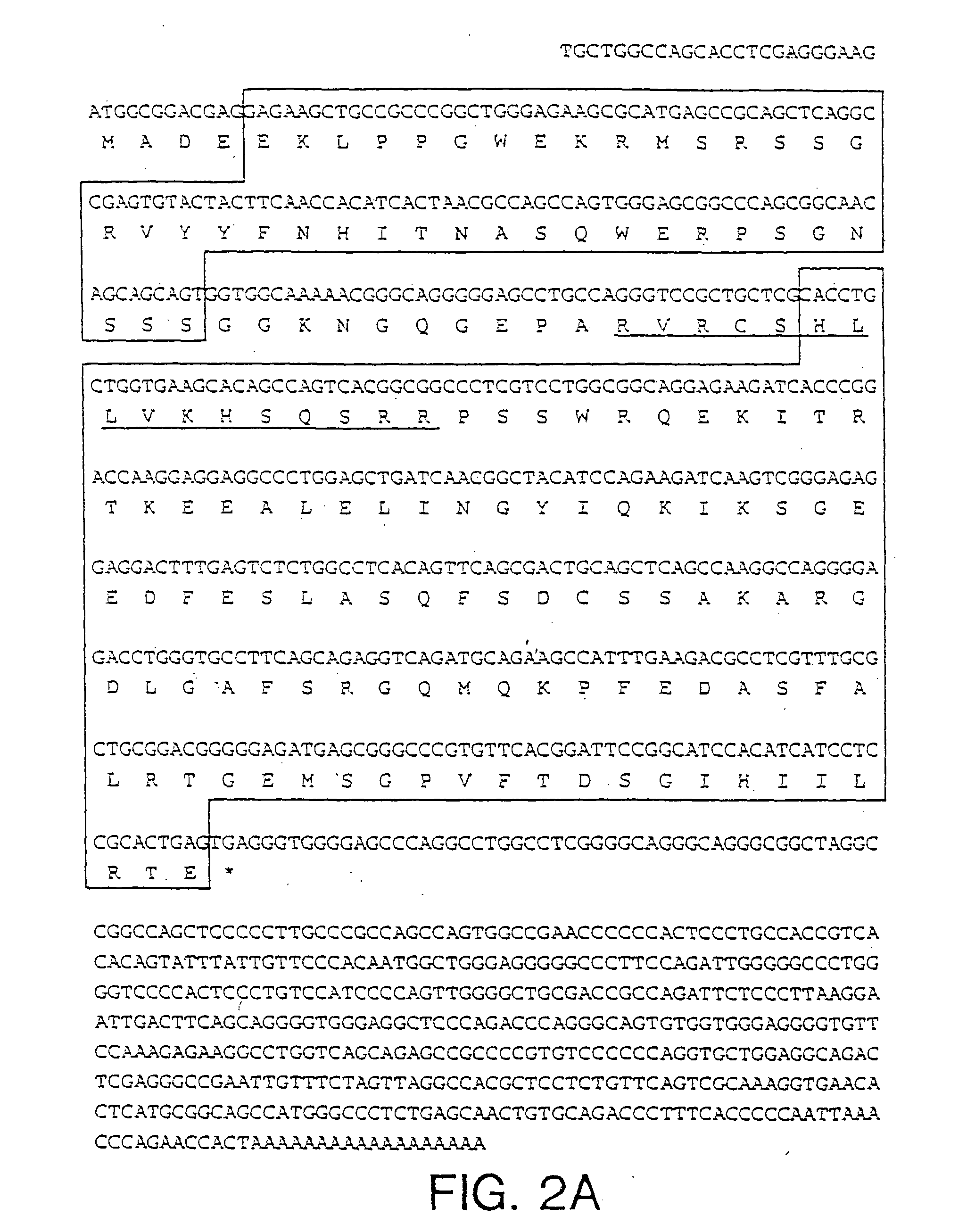 NIMA interacting proteins