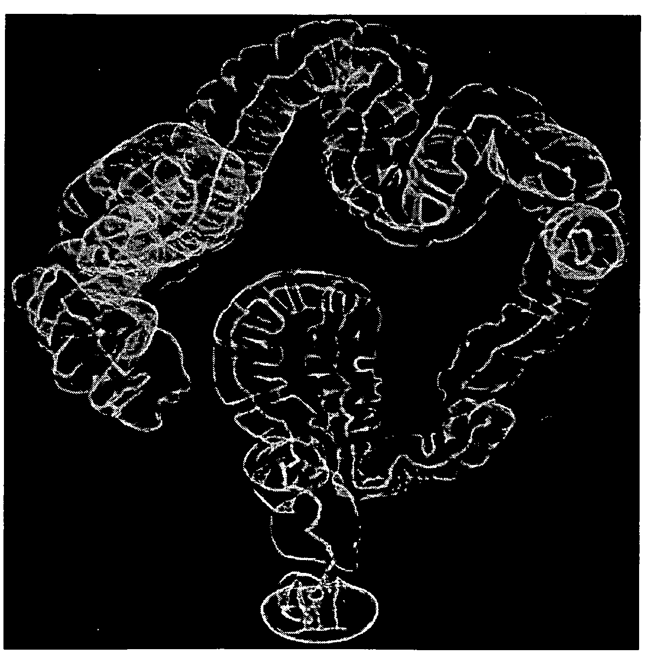 Method of centerline generation in virtual objects