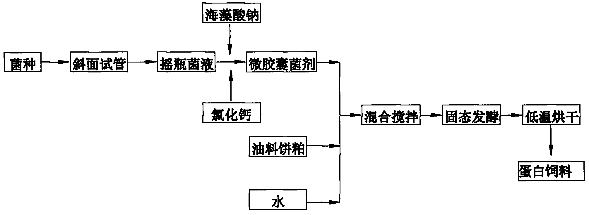 Method for preparing oil cake protein feedstuff through low moisture solid state fermentation