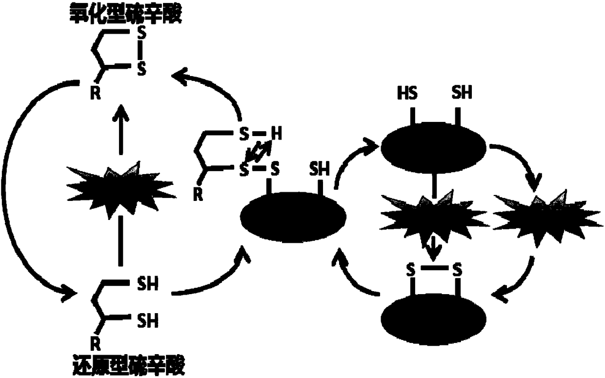 Use of lipoic acid in preparation of pharmaceutical composition for treatment on pressure-loaded myocardial injury