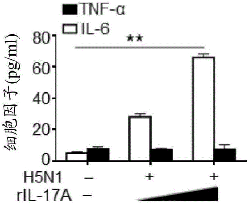 Vaccines with interleukin-17 as an adjuvant