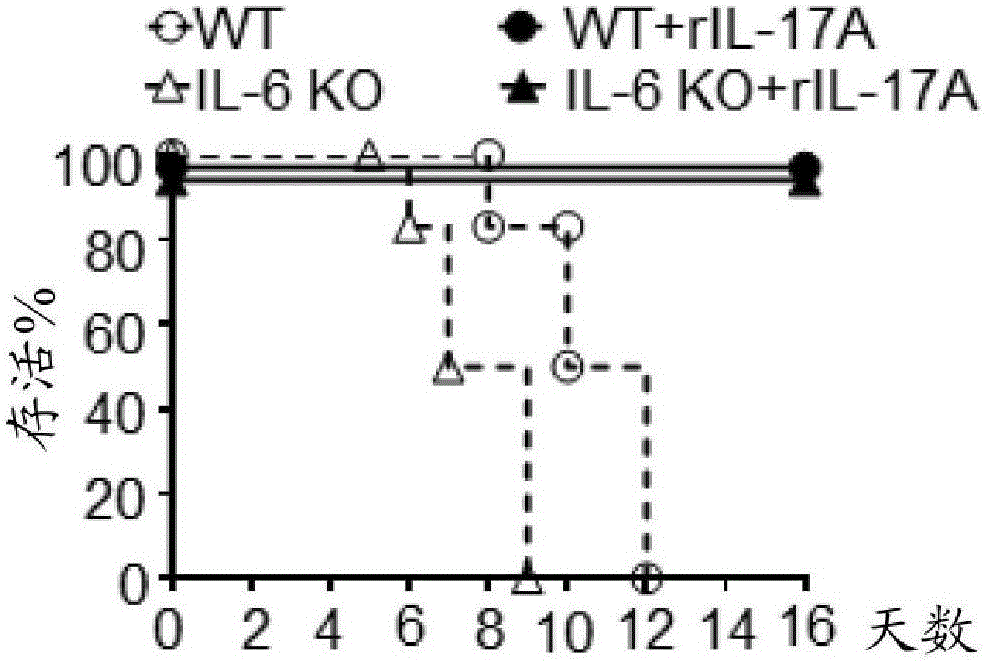 Vaccines with interleukin-17 as an adjuvant