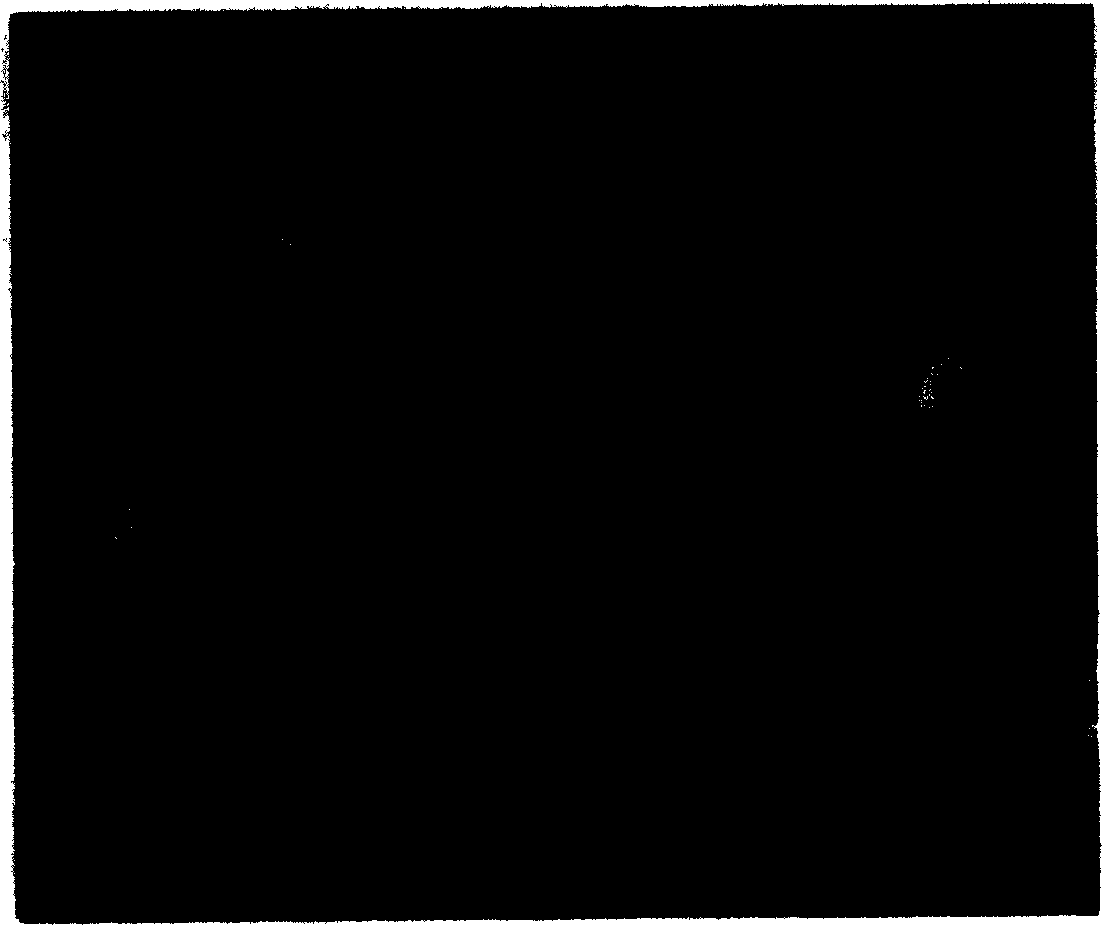 Synthetic method for superfine sulfuric acid and salbutamol