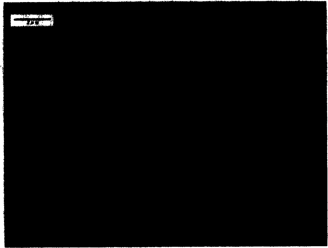 Synthetic method for superfine sulfuric acid and salbutamol