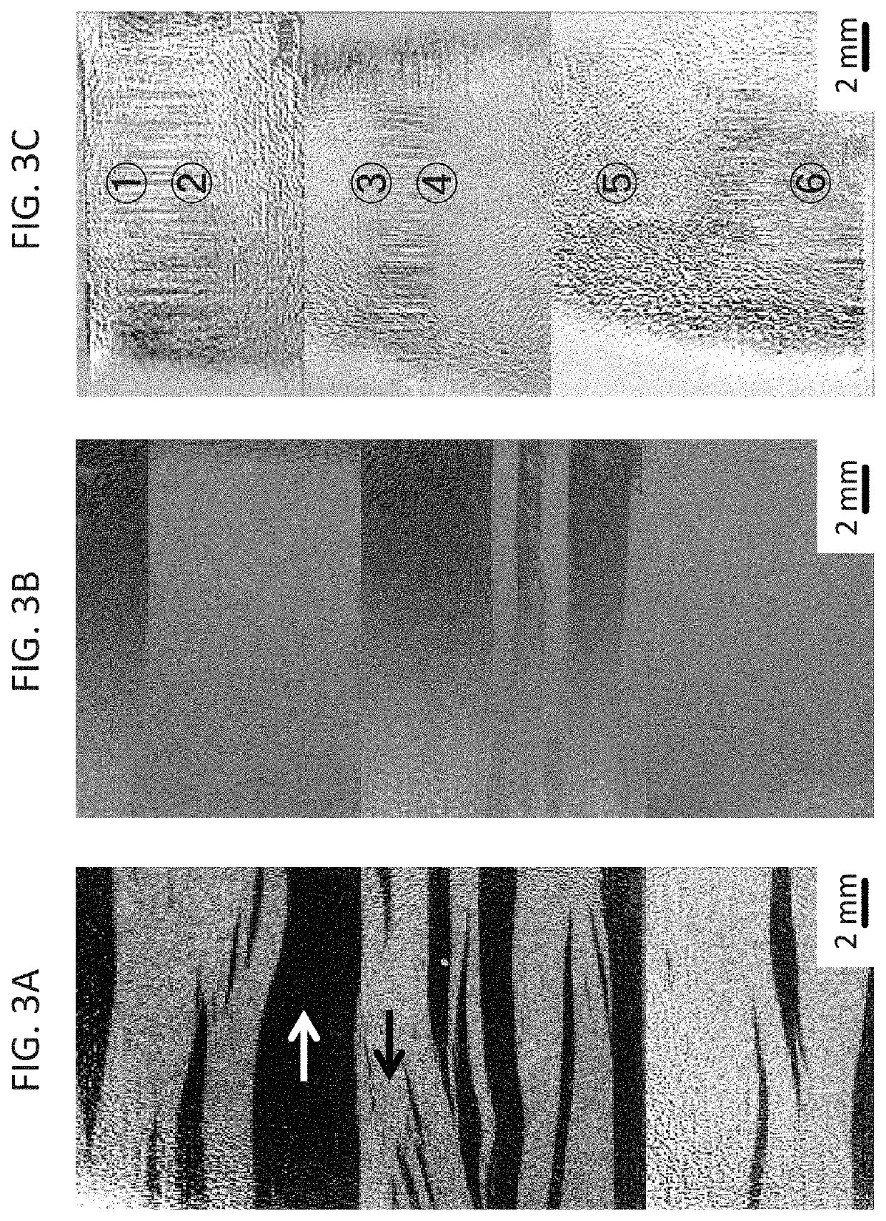 Nanocrystalline magnetic alloy and method of heat-treatment thereof