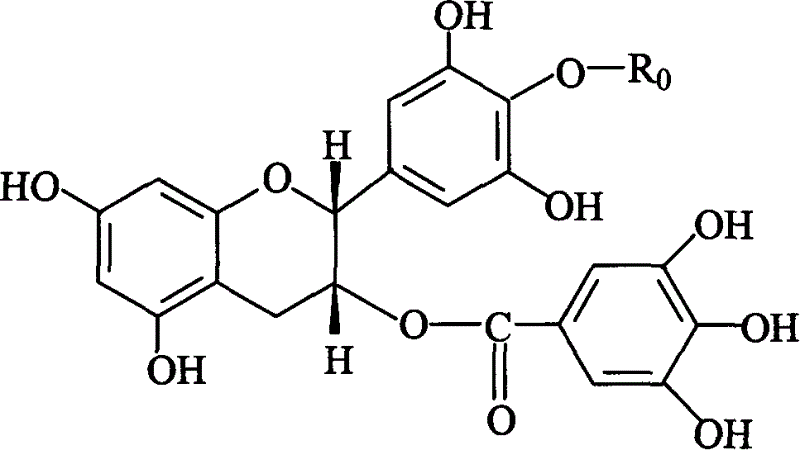 Sensitizing energistic agent of chemotherapy medicine for treating tumour