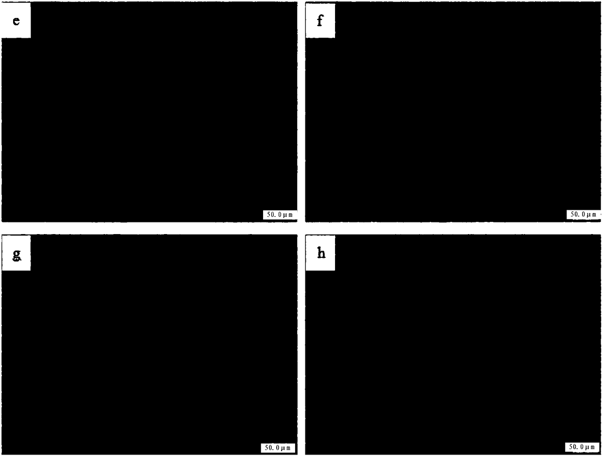 Core rod surfacing repair method and core rod surfacing layer tissue structure