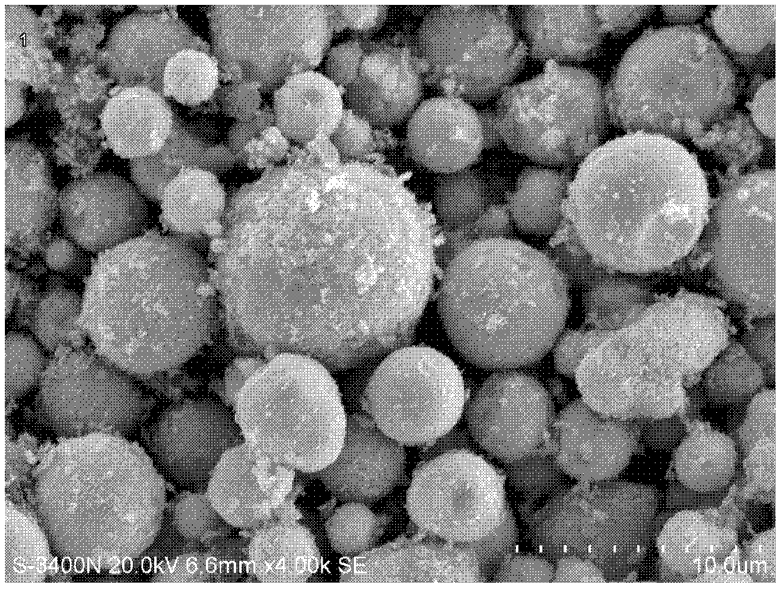 Organic substance bonding-type zinc powder and preparation method thereof