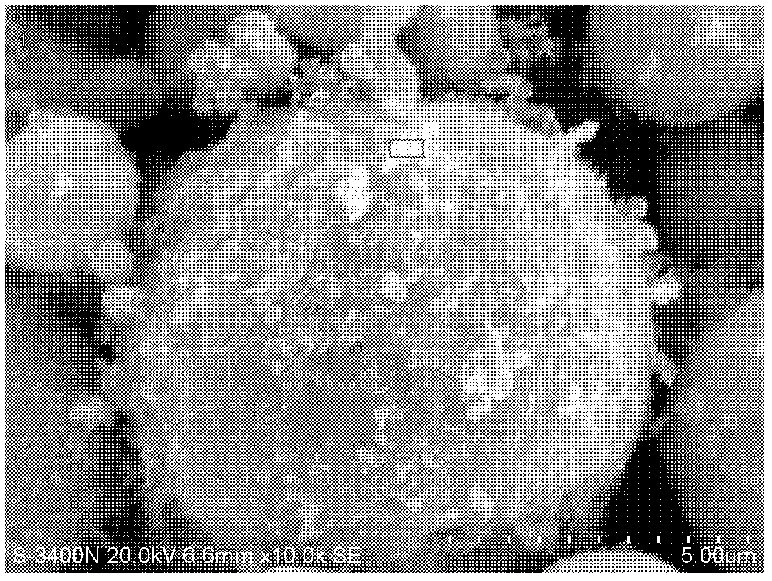 Organic substance bonding-type zinc powder and preparation method thereof