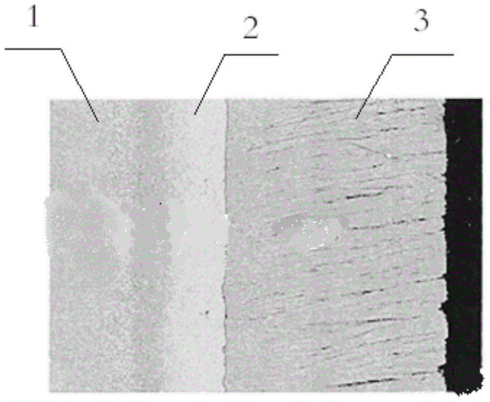 A kind of protective coating for single crystal superalloy and preparation method thereof