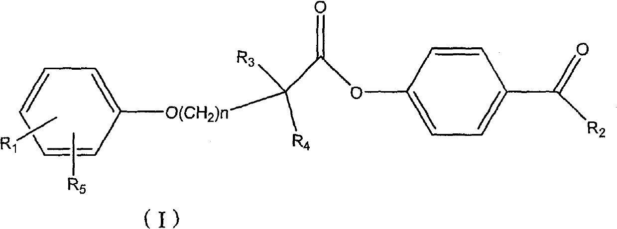 Ester compound, preparation method and application thereof