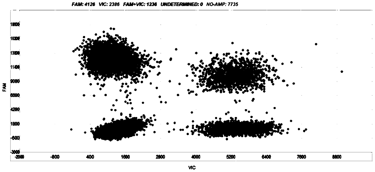 FFPE reference substance as well as preparation method and application thereof