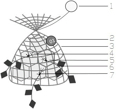 Method for repairing intertidal sargasso field