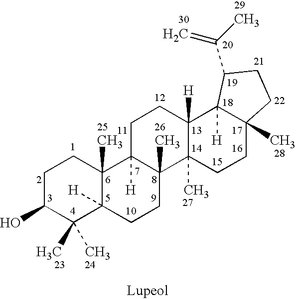 Methods of treating fungal infections using lupeol