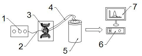 Inspection system for improving accuracy of tumor marker