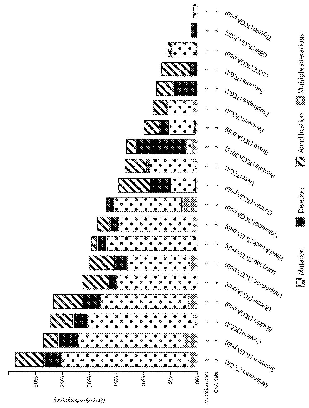 Signatures for predicting cancer immune therapy response