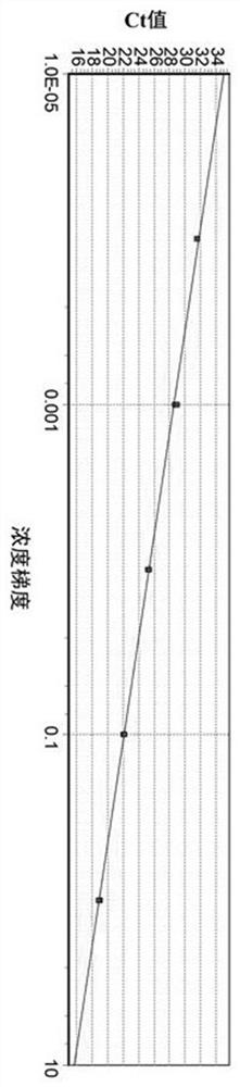 A phalaenopsis cyclophilin cyp gene and its application