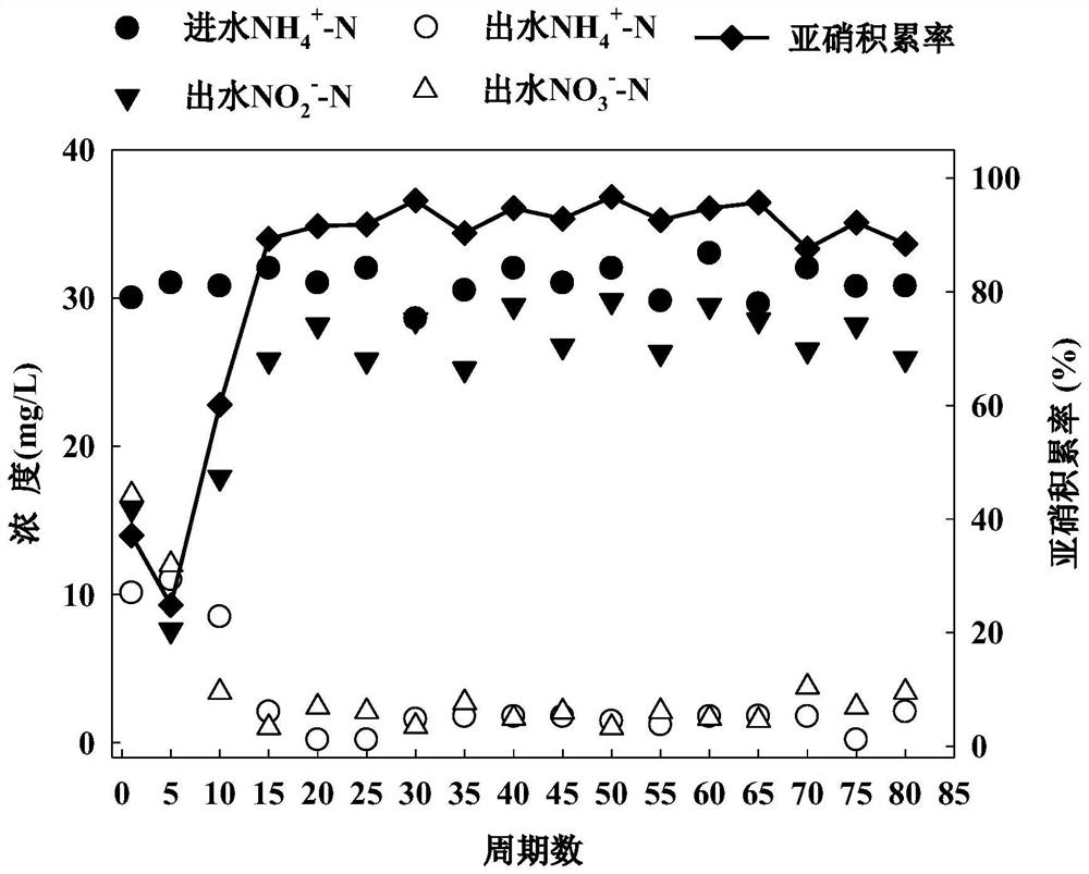 Method for rapidly starting normal-temperature short-cut nitrification of municipal sewage by using acetaminophen