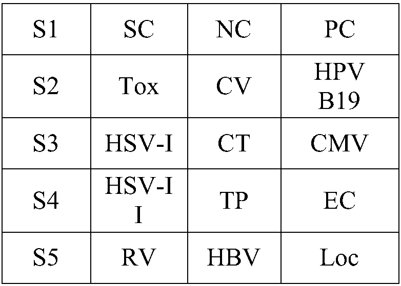 Anti-torch-IgM antibody spectrum chip, preparation method of chip and TORCH detection kit