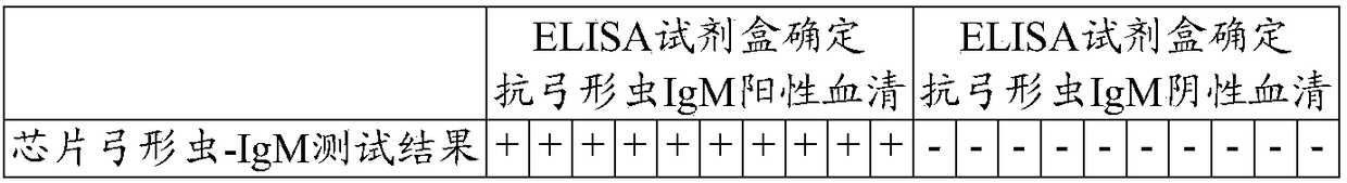 Anti-torch-IgM antibody spectrum chip, preparation method of chip and TORCH detection kit