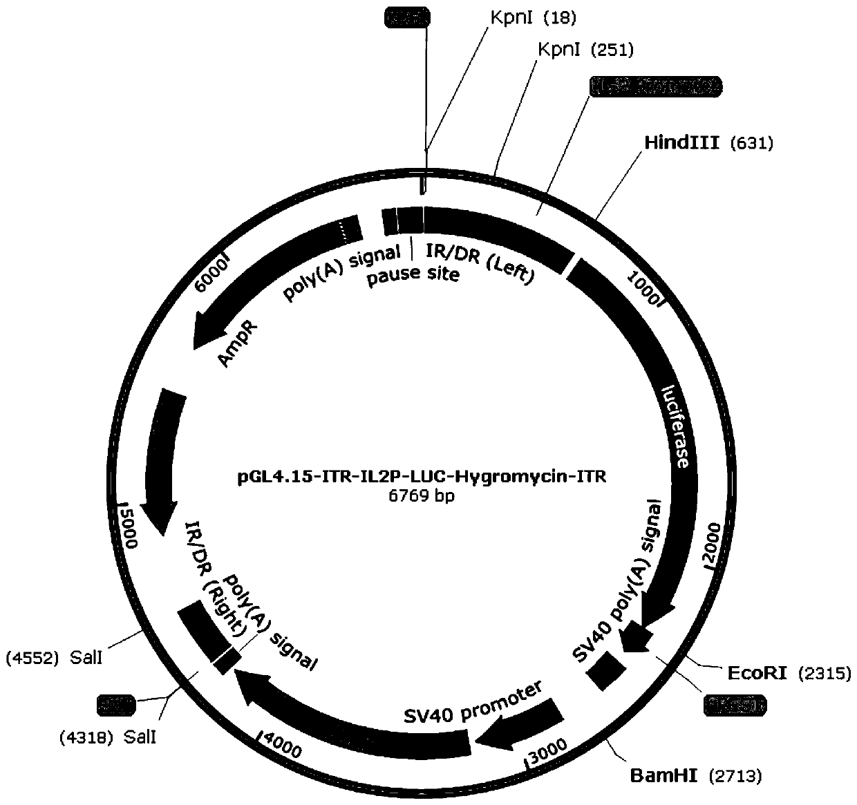 A novel method for detecting biological activity of T cell immunomodulator