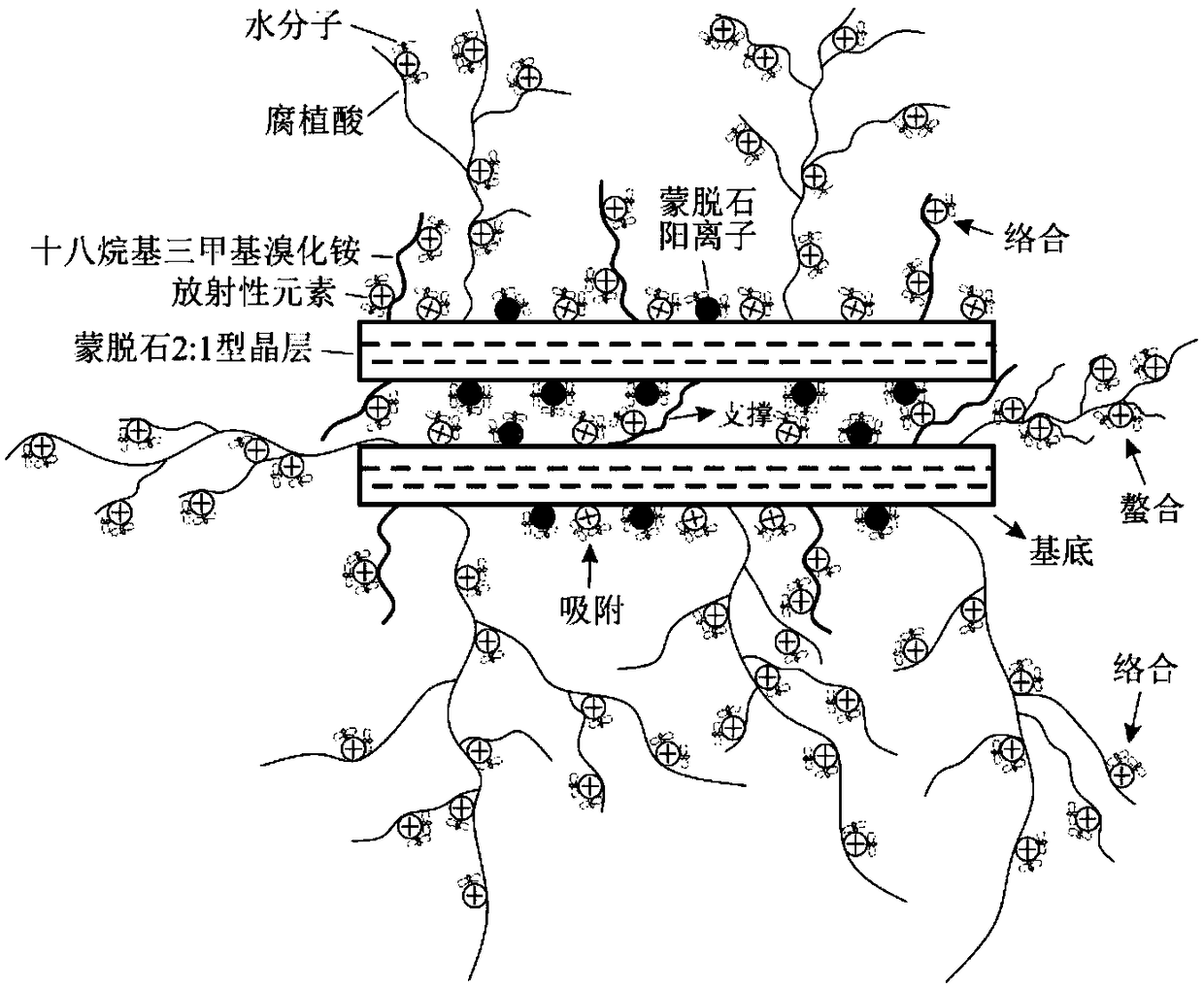 Radioactively contaminated soil conditioner and preparation method thereof