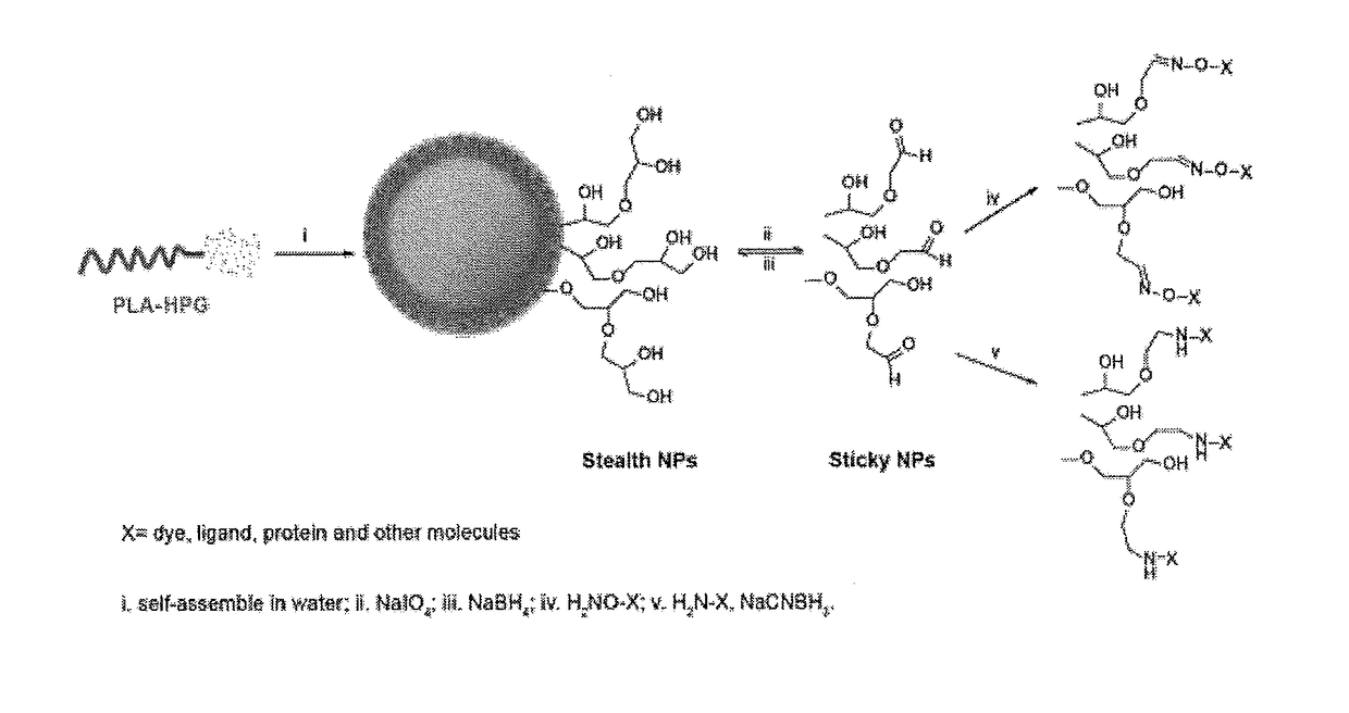 Hyperbranched polyglycerol-coated particles and methods of making and using thereof